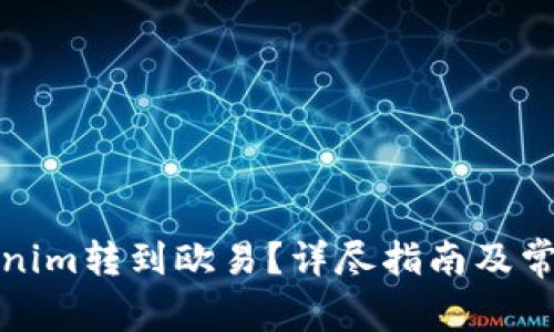 如何将Tokenim转到欧易？详尽指南及常见问题解答