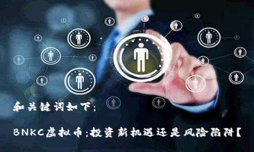 和关键词如下：

BNKC虚拟币：投资新机遇还是风险陷阱？