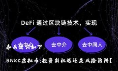 和关键词如下：BNKC虚拟币：投资新机遇还是风险