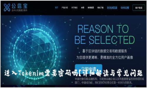 进入Tokenim需要密码吗？详细解读与常见问题