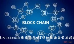 进入Tokenim需要密码吗？详细解读与常见问题