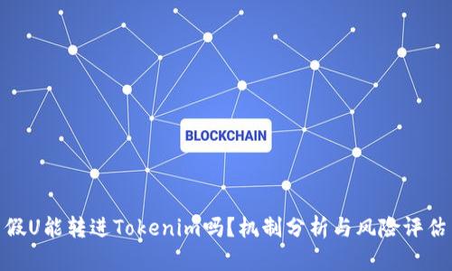 假U能转进Tokenim吗？机制分析与风险评估
