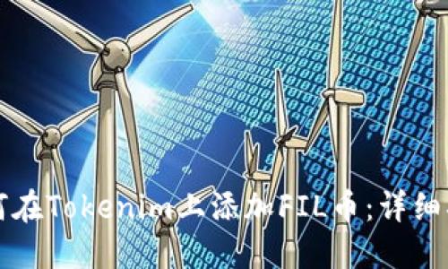如何在Tokenim上添加FIL币：详细指南