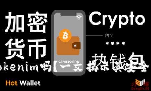 黑客能破解Tokenim吗？一文揭示其安全性与防护措施