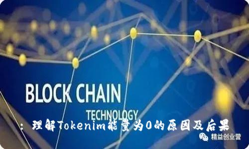 : 理解Tokenim能量为0的原因及后果