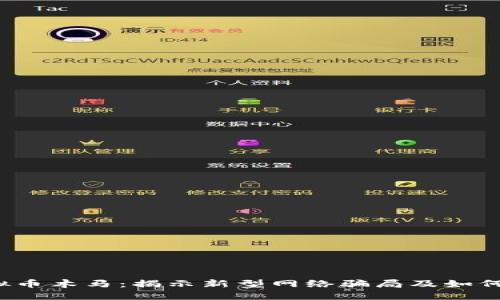  虚拟币木马：揭示新型网络骗局及如何防范