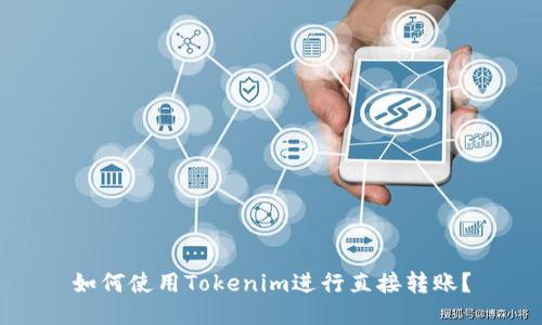 如何使用Tokenim进行直接转账？