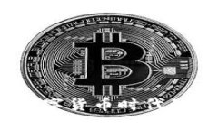 虚拟币人群：探索数字货币时代的投资者与用户