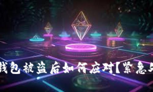 虚拟币钱包被盗后如何应对？紧急处理指南