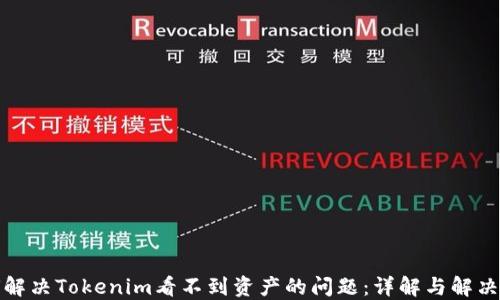 
如何解决Tokenim看不到资产的问题：详解与解决方案