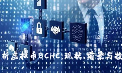 深入解析虚拟币BCHC：现状、前景与投资指南