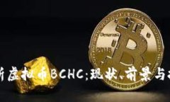 深入解析虚拟币BCHC：现状、前景与投资指南