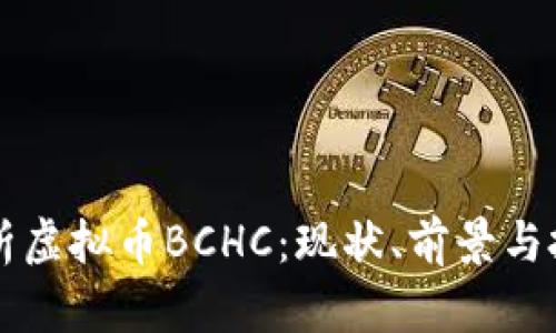深入解析虚拟币BCHC：现状、前景与投资指南