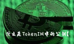 什么是TokenIM中的公钥？