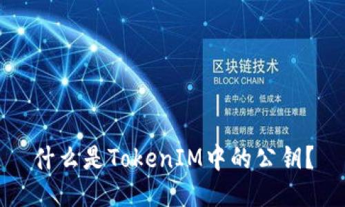 什么是TokenIM中的公钥？