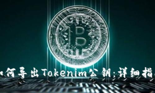 如何导出Tokenim公钥：详细指南