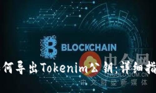 如何导出Tokenim公钥：详细指南