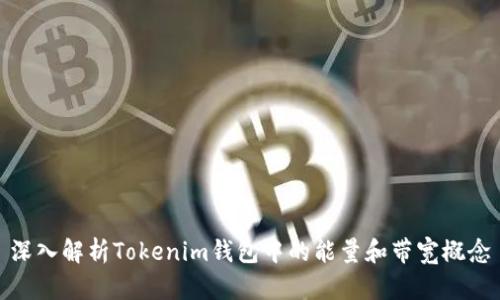 深入解析Tokenim钱包中的能量和带宽概念