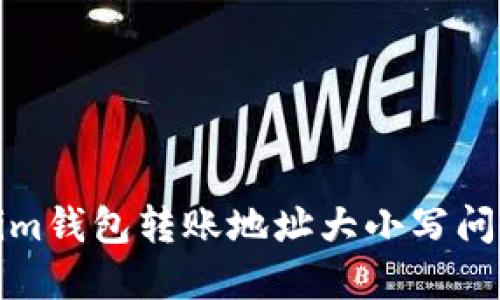 Tokenim钱包转账地址大小写问题详解