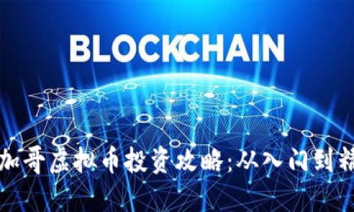 芝加哥虚拟币投资攻略：从入门到精通