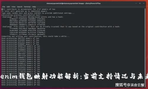 : Tokenim钱包映射功能解析：当前支持情况与未来趋势