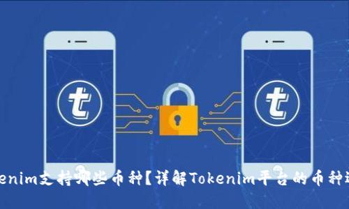 Tokenim支持哪些币种？详解Tokenim平台的币种选择