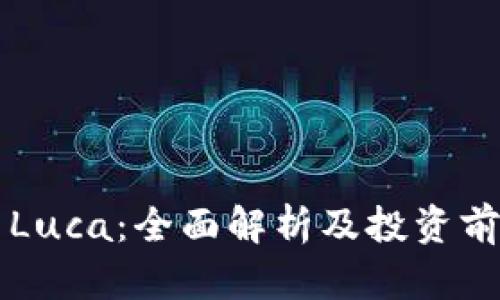 虚拟币Luca：全面解析及投资前景分析
