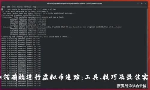 如何有效进行虚拟币追踪：工具、技巧及最佳实践