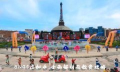  BNGS虚拟币：全面解析及投资攻略