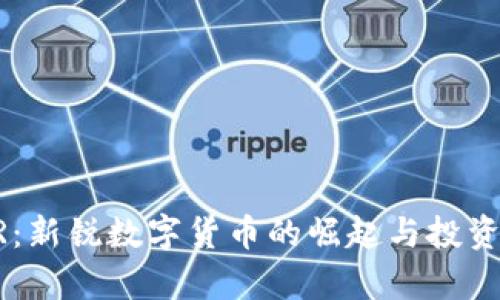 虚拟币LR：新锐数字货币的崛起与投资前景分析
