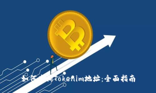 如何查询Tokenim地址：全面指南