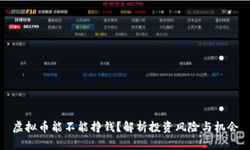 虚拟币能不能挣钱？解析投资风险与机会