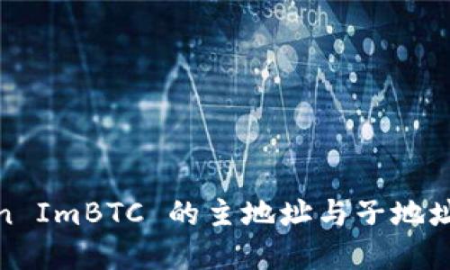 Token ImBTC 的主地址与子地址详解