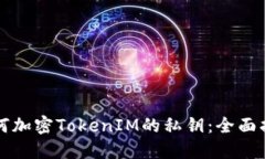如何加密TokenIM的私钥：全面指南