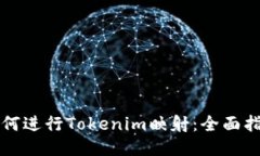 如何进行Tokenim映射：全面指南
