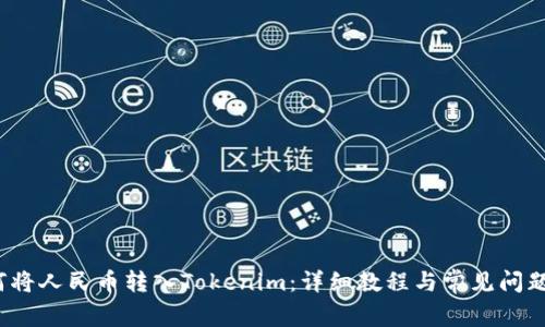  如何将人民币转入Tokenim：详细教程与常见问题解答