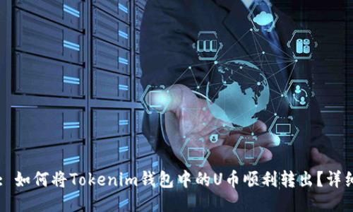 Title: 如何将Tokenim钱包中的U币顺利转出？详细指南