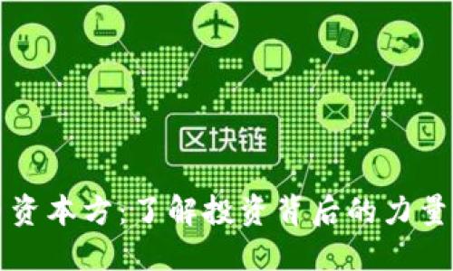 虚拟币资本方：了解投资背后的力量与趋势