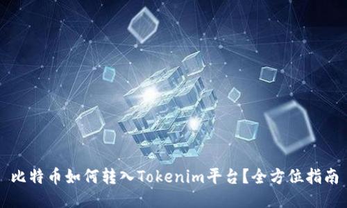 比特币如何转入Tokenim平台？全方位指南