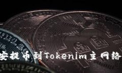 如何将币安提币到Tokenim主网络：详细指南