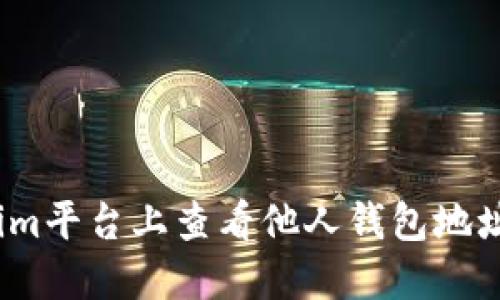 :如何在Tokenim平台上查看他人钱包地址及其交易记录