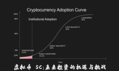 虚拟币 SC：未来投资的机遇与挑战