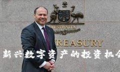 智天虚拟币：新兴数字资产的投资机会与风险分