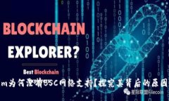 Tokenim为何没有BSC网络支持？探究其背后的原因与