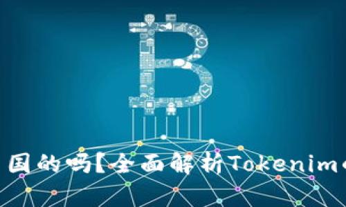 Tokenim是中国的吗？全面解析Tokenim的背景与发展