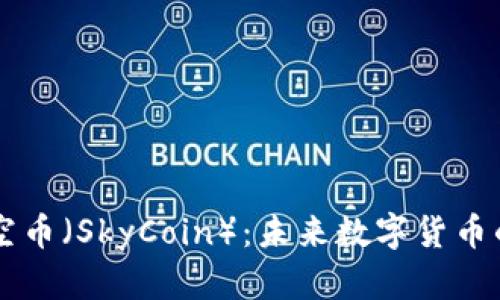 深入了解天空币（SkyCoin）：未来数字货币的潜力与应用