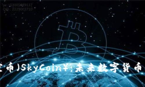 深入了解天空币（SkyCoin）：未来数字货币的潜力与应用
