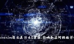 Tokenim退出是什么？原因、影响和应对措施详解