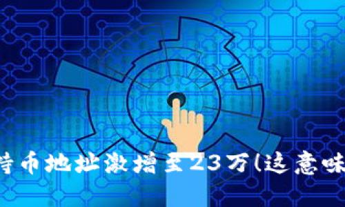 虚拟币持币地址激增至23万！这意味着什么？