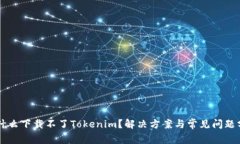 为什么下载不了Tokenim？解决方案与常见问题分析